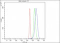 Flow cytometry testing of fixed and permeabilized human HepG2 cells with Alpha 1B-Glycoprotein antibody at 1ug/million cells (blocked with goat sera); Red=cells alone, Green=isotype control, Blue= Alpha 1B-Glycoprotein antibody.