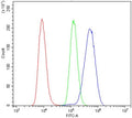 Flow cytometry testing of human Raji cells with CD123 antibody at 1ug/million cells (blocked with goat sera); Red=cells alone, Green=isotype control, Blue= CD123 antibody.