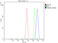 Flow Cytometry analysis of rat C6 cells using anti-TMEM9 antibody. Overlay histogram showing C6 cells stained with (Blue line). The cells were fixed with 4% paraformaldehyde and blocked with 10% normal goat serum. And then incubated with rabbit anti-TMEM9 antibody (1 ug/million cells) for 30 min at 20oC. DyLight 488 conjugated goat anti-rabbit IgG (5-10 ug/million cells) was used as secondary antibody for 30 min at 20oC.
