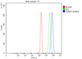 Flow Cytometry analysis of human RT4 cells using anti-TDRD9 antibody. Overlay histogram showing RT4 cells stained with (Blue line). To facilitate intracellular staining, cells were fixed with 4% paraformaldehyde and permeabilized with permeabilization buffer. The cells were blocked with 10% normal goat serum. And then incubated with rabbit anti-TDRD9 antibody (1 ug/million cells) for 30 min at 20oC.
