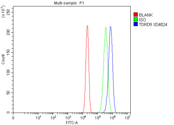 Flow Cytometry analysis of human RT4 cells using anti-TDRD9 antibody. Overlay histogram showing RT4 cells stained with (Blue line). To facilitate intracellular staining, cells were fixed with 4% paraformaldehyde and permeabilized with permeabilization buffer. The cells were blocked with 10% normal goat serum. And then incubated with rabbit anti-TDRD9 antibody (1 ug/million cells) for 30 min at 20oC.