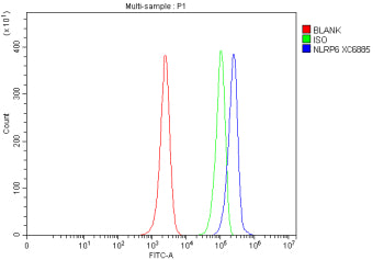 Flow Cytometry analysis of HL-60 cells using anti-NLRP6 antibody. Overlay histogram showing HL-60 cells stained with (Blue line). To facilitate intracellular staining, cells were fixed with 4% paraformaldehyde and permeabilized with permeabilization buffer. The cells were blocked with 10% normal goat serum. And then incubated with rabbit anti-NLRP6 antibody (1 ug/million cells) for 30 min at 20oC.