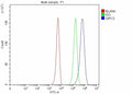 Flow Cytometry analysis of K562 cells using anti-GIPC3 antibody. Overlay histogram showing K562 cells stained with (Blue line). To facilitate intracellular staining, cells were fixed with 4% paraformaldehyde and permeabilized with permeabilization buffer. The cells were blocked with 10% normal goat serum. And then incubated with rabbit anti-GIPC3 antibody (1 ug/million cells) for 30 min at 20oC.
