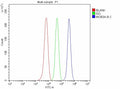 Flow Cytometry analysis of Raji cells using anti-MOB3A/B/C antibody. Overlay histogram showing Raji cells stained with (Blue line). To facilitate intracellular staining, cells were fixed with 4% paraformaldehyde and permeabilized with permeabilization buffer. The cells were blocked with 10% normal goat serum. And then incubated with rabbit anti-MOB3A/B/C antibody (1 ug/million cells) for 30 min at 20oC.