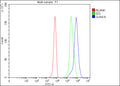Flow Cytometry analysis of K562 cells using anti-GJA4 antibody. Overlay histogram showing K562 cells stained with (Blue line). The cells were fixed with 4% paraformaldehyde and blocked with 10% normal goat serum. And then incubated with rabbit anti-GJA4 antibody (1 ug/million cells) for 30 min at 20oC. DyLight 488 conjugated goat anti-rabbit IgG (5-10 ug/million cells) was used as secondary antibody for 30 min at 20oC.