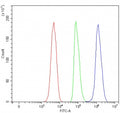 Flow cytometry testing of fixed and permeabilized human SH-SY5Y cells with RUFY3 antibody at 1ug/million cells (blocked with goat sera); Red=cells alone, Green=isotype control, Blue= RUFY3 antibody.