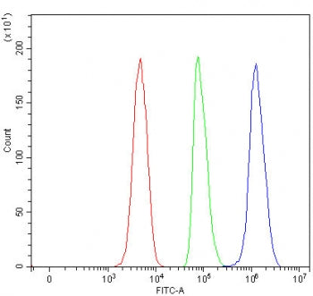 Flow cytometry testing of fixed and permeabilized human SH-SY5Y cells with RUFY3 antibody at 1ug/million cells (blocked with goat sera); Red=cells alone, Green=isotype control, Blue= RUFY3 antibody.