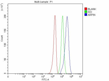Flow Cytometry analysis of human U251 cells using anti-ARPIN antibody. Overlay histogram showing U251 cells stained with (Blue line). The cells were fixed with 4% paraformaldehyde and blocked with 10% normal goat serum. And then incubated with rabbit anti-ARPIN antibody (1 ug/million cells) for 30 min at 20oC. DyLight 488 conjugated goat anti-rabbit IgG (5-10 ug/million cells) was used as secondary antibody for 30 min at 20oC.