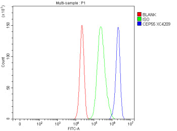 Flow Cytometry analysis of cells using anti-CEP55 antibody. Overlay histogram showing cells stained with (Blue line). To facilitate intracellular staining, cells were fixed with 4% paraformaldehyde and permeabilized with permeabilization buffer. The cells were blocked with 10% normal goat serum. And then incubated with rabbit anti-CEP55 antibody (1 ug/million cells) for 30 min at 20oC. DyLight 488 conjugated goat anti-rabbit IgG (5-10 ug/million cells) was used as secondary antibody for 30 min at 20oC.