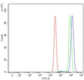 Flow cytometry testing of human MCF7 cells with RPS6KB1 antibody at 1ug/million cells (blocked with goat sera); Red=cells alone, Green=isotype control, Blue= RPS6KB1 antibody.