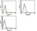 FACS testing of Rabbit IgG isotype control antibody on human samples. Black=cells alone, gray=cells + secondary, orange=cells + isotype control antibody + secondary