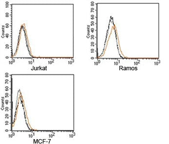 FACS testing of Rabbit IgG isotype control antibody on human samples. Black=cells alone, gray=cells + secondary, orange=cells + isotype control antibody + secondary