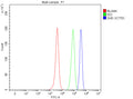 Flow cytometry analysis of fixed and permeabilized human SH-SY5Y cells with SHC antibody at 1ug/million cells (blocked with goat sera); Red=cells alone, Green=isotype control, Blue= SHD antibody.
