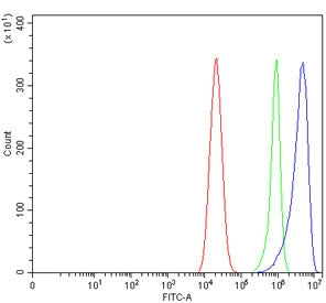 Flow cytometry testing of human Caco-2 cells with Glutaminase 2 antibody at 1ug/million cells (blocked with goat sera); Red=cells alone, Green=isotype control, Blue= Glutaminase 2 antibody.