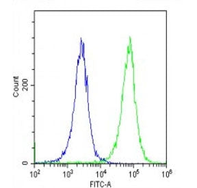 Flow cytometry testing of fixed and permeabilized human HeLa cells with CDKN2A antibody; Blue=isotype control, Green= CDKN2A antibody.