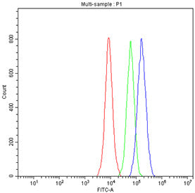 Flow cytometry testing of fixed and permeabilized human 293T cells with CREB antibody at 1ug/million cells (blocked with goat sera); Red=cells alone, Green=isotype control, Blue= CREB antibody.