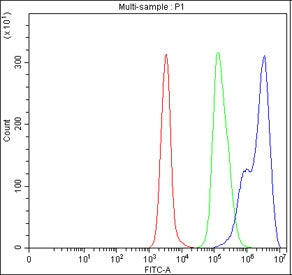 Flow cytometry testing of fixed and permeabilized human Daudi cells with NF-kB p65 antibody at 1ug/million cells (blocked with goat sera); Red=cells alone, Green=isotype control, Blue= NF-kB p65 antibody.