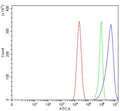 Flow cytometry testing of human Caco-2 cells with GAST antibody at 1ug/million cells (blocked with goat sera); Red=cells alone, Green=isotype control, Blue= GAST antibody.