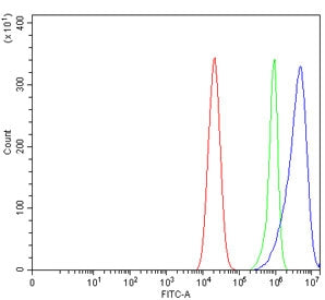 Flow cytometry testing of human Caco-2 cells with GAST antibody at 1ug/million cells (blocked with goat sera); Red=cells alone, Green=isotype control, Blue= GAST antibody.
