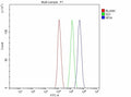 Flow Cytometry analysis of JK cells using anti-NFIA antibody. Overlay histogram showing JK cells stained with (Blue line). To facilitate intracellular staining, cells were fixed with 4% paraformaldehyde and permeabilized with permeabilization buffer. The cells were blocked with 10% normal goat serum. And then incubated with rabbit anti-NFIA antibody (1 ug/million cells) for 30 min at 20oC. DyLight 488 conjugated goat anti-rabbit IgG (5-10 ug/million cells) was used as secondary antibody for 30 min at 20oC.