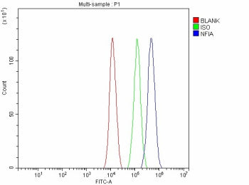 Flow Cytometry analysis of JK cells using anti-NFIA antibody. Overlay histogram showing JK cells stained with (Blue line). To facilitate intracellular staining, cells were fixed with 4% paraformaldehyde and permeabilized with permeabilization buffer. The cells were blocked with 10% normal goat serum. And then incubated with rabbit anti-NFIA antibody (1 ug/million cells) for 30 min at 20oC. DyLight 488 conjugated goat anti-rabbit IgG (5-10 ug/million cells) was used as secondary antibody for 30 min at 20oC.