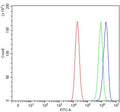 Flow cytometry testing of human Caco-2 cells with Aquaporin 11 antibody at 1ug/million cells (blocked with goat sera); Red=cells alone, Green=isotype control, Blue= Aquaporin 11 antibody.