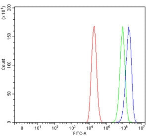 Flow cytometry testing of human Caco-2 cells with Aquaporin 11 antibody at 1ug/million cells (blocked with goat sera); Red=cells alone, Green=isotype control, Blue= Aquaporin 11 antibody.