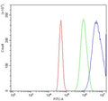 Flow cytometry testing of human A431 cells with Proteasome subunit beta type-6 antibody at 1ug/million cells (blocked with goat sera); Red=cells alone, Green=isotype control, Blue= Proteasome subunit beta type-6 antibody.