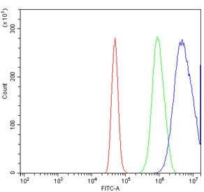 Flow cytometry testing of human A431 cells with Proteasome subunit beta type-6 antibody at 1ug/million cells (blocked with goat sera); Red=cells alone, Green=isotype control, Blue= Proteasome subunit beta type-6 antibody.