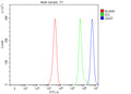 Flow Cytometry analysis of human JK cells using anti-GAS7 antibody. Overlay histogram showing JK cells stained with (Blue line). To facilitate intracellular staining, cells were fixed with 4% paraformaldehyde and permeabilized with permeabilization buffer. The cells were blocked with 10% normal goat serum. And then incubated with rabbit anti-GAS7 antibody (1 ug/million cells) for 30 min at 20oC.