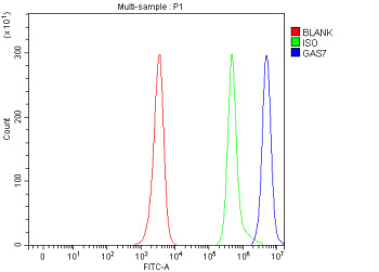 Flow Cytometry analysis of human JK cells using anti-GAS7 antibody. Overlay histogram showing JK cells stained with (Blue line). To facilitate intracellular staining, cells were fixed with 4% paraformaldehyde and permeabilized with permeabilization buffer. The cells were blocked with 10% normal goat serum. And then incubated with rabbit anti-GAS7 antibody (1 ug/million cells) for 30 min at 20oC.