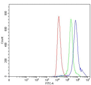 Flow cytometry testing of human HEL cells with TAL1 antibody at 1ug/million cells (blocked with goat sera); Red=cells alone, Green=isotype control, Blue= TAL1 antibody.