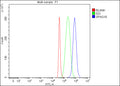 Flow Cytometry analysis of SH-SY5Y cells using anti-SPAG16 antibody. Overlay histogram showing SH-SY5Y cells stained with (Blue line). To facilitate intracellular staining, cells were fixed with 4% paraformaldehyde and permeabilized with permeabilization buffer. The cells were blocked with 10% normal goat serum. And then incubated with rabbit anti-SPAG16 antibody (1 ug/million cells) for 30 min at 20oC.