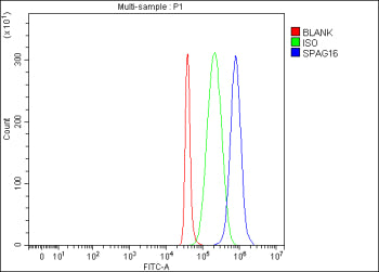 Flow Cytometry analysis of SH-SY5Y cells using anti-SPAG16 antibody. Overlay histogram showing SH-SY5Y cells stained with (Blue line). To facilitate intracellular staining, cells were fixed with 4% paraformaldehyde and permeabilized with permeabilization buffer. The cells were blocked with 10% normal goat serum. And then incubated with rabbit anti-SPAG16 antibody (1 ug/million cells) for 30 min at 20oC.