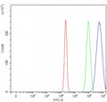 Flow cytometry testing of human U-2 OS cells with RAG2 antibody at 1ug/million cells (blocked with goat sera); Red=cells alone, Green=isotype control, Blue= RAG2 antibody.