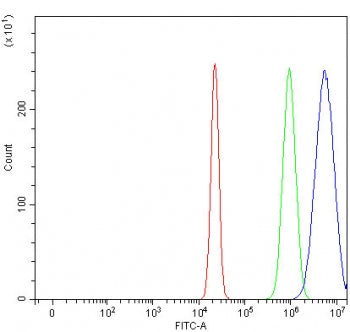 Flow cytometry testing of human U-2 OS cells with RAG2 antibody at 1ug/million cells (blocked with goat sera); Red=cells alone, Green=isotype control, Blue= RAG2 antibody.