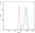 Flow cytometry testing of human Caco-2 cells with PROM1 antibody at 1ug/million cells (blocked with goat sera); Red=cells alone, Green=isotype control, Blue= PROM1 antibody.