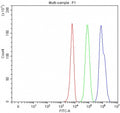 Flow cytometry testing of fixed and permeabilized human K562 cells with HDAC6 antibody at 1ug/million cells (blocked with goat sera); Red=cells alone, Green=isotype control, Blue= HDAC6 antibody.