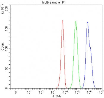 Flow cytometry testing of fixed and permeabilized human K562 cells with HDAC6 antibody at 1ug/million cells (blocked with goat sera); Red=cells alone, Green=isotype control, Blue= HDAC6 antibody.