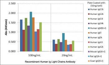 ELISA of human immunoglobulins shows recombinant Human Ig Light Chains antibody reacts to both kappa and lambda light chains of human immunoglobulins. No cross reactivity with mouse, rat, or goat immunoglobulin light chain.