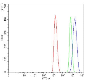 Flow cytometry testing of mouse HEPA1-6 cells with METTL3 antibody at 1ug/million cells (blocked with goat sera); Red=cells alone, Green=isotype control, Blue= METTL3 antibody.