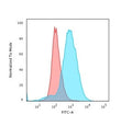 Flow cytometry staining of PFA-fixed human Jukat cells with unlabeled CD28 antibody (clone CB28); Red=isotype control, Blue= CD28 antibody.