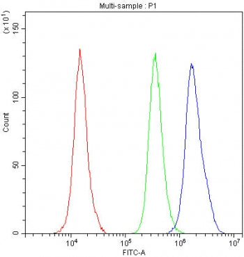 Flow cytometry testing of fixed and permeabilized human A431 cells with NRF1 antibody at 1ug/million cells (blocked with goat sera); Red=cells alone, Green=isotype control, Blue= NRF1 antibody.
