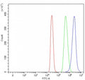 Flow cytometry testing of fixed and permeabilized human 293T cells with Heparin cofactor 2 antibody at 1ug/million cells (blocked with goat sera); Red=cells alone, Green=isotype control, Blue= Heparin cofactor 2 antibody.