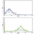 Flow cytometric analysis of NCI-H292 cells using IL-1B antibody (bottom histogram) compared to a negative control (top histogram). FITC-conjugated goat-anti-rabbit secondary Ab was used for the analysis.