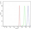 Flow cytometry testing of human HepG2 cells with RTEL1 antibody at 1ug/million cells (blocked with goat sera); Red=cells alone, Green=isotype control, Blue= RTEL1 antibody.
