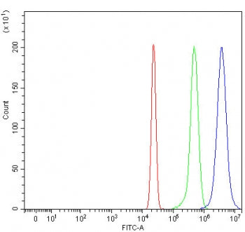 Flow cytometry testing of human HepG2 cells with RTEL1 antibody at 1ug/million cells (blocked with goat sera); Red=cells alone, Green=isotype control, Blue= RTEL1 antibody.