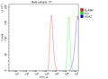 Flow Cytometry analysis of HepG2 cells using anti-GGA2 antibody. Overlay histogram showing HepG2 cells stained with (Blue line). To facilitate intracellular staining, cells were fixed with 4% paraformaldehyde and permeabilized with permeabilization buffer. The cells were blocked with 10% normal goat serum. And then incubated with rabbit anti-GGA2 antibody (1 ug/million cells) for 30 min at 20oC.