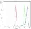 Flow cytometry testing of fixed and permeabilized human RT4 cells with OVGP1 antibody at 1ug/million cells (blocked with goat sera); Red=cells alone, Green=isotype control, Blue= OVGP1 antibody.