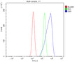 Flow Cytometry analysis of HEL cells using anti-GH1 antibody. Overlay histogram showing HEL cells stained with (Blue line). The cells were fixed with 4% paraformaldehyde and blocked with 10% normal goat serum. And then incubated with rabbit anti-GH1 antibody (1 ug/million cells) for 30 min at 20oC. DyLight 488 conjugated goat anti-rabbit IgG (5-10 ug/million cells) was used as secondary antibody for 30 min at 20oC.